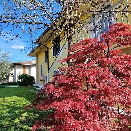 Apartment Ca' Degli Ulivi *